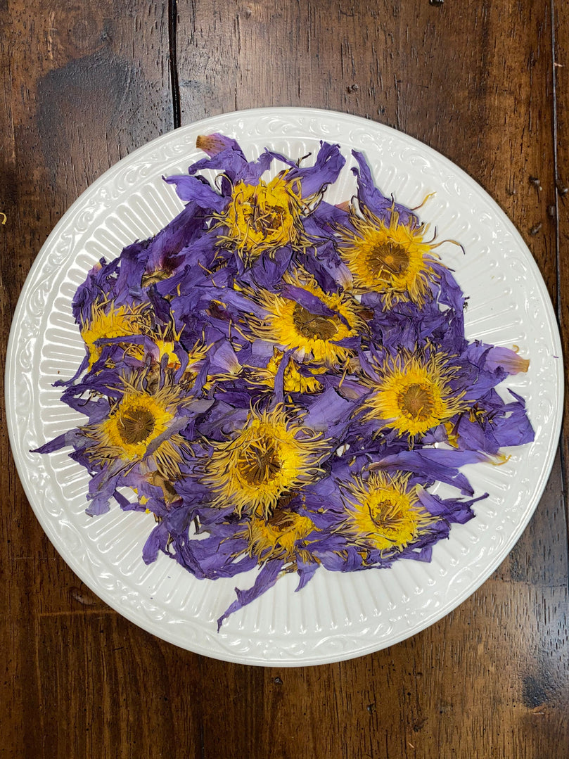 Organic Blue Lotus Nymphaea Caerulea Hand Picked Dried Flowers 100% Herbal