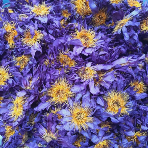 Organic Blue Lotus Nymphaea Caerulea Hand Picked Dried Flowers 100% Herbal