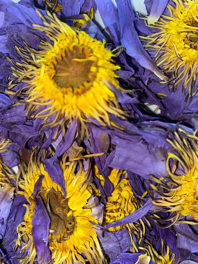 Organic Blue Lotus Nymphaea Caerulea Hand Picked Dried Flowers 100% Herbal