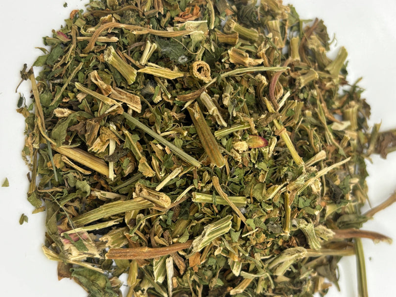 Dried Epazote Herb | Mexican Spice for Beans & Soups | Authentic Culinary Herb | Natural Seasoning | Mexican Tea | Dysphania ambrosioides