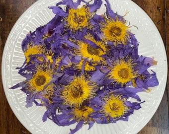 Dried blue lotus flowers