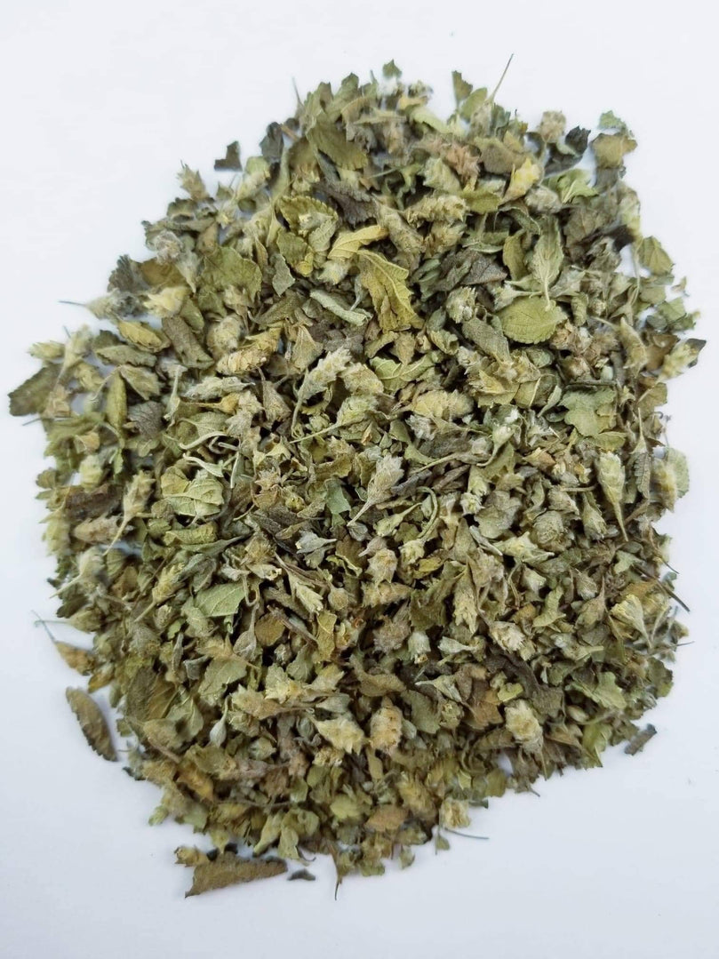 Mexican oregano dried