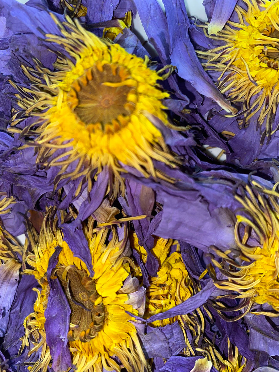 Organic Blue Lotus Nymphaea Caerulea Hand Picked Dried Flowers 100% Herbal