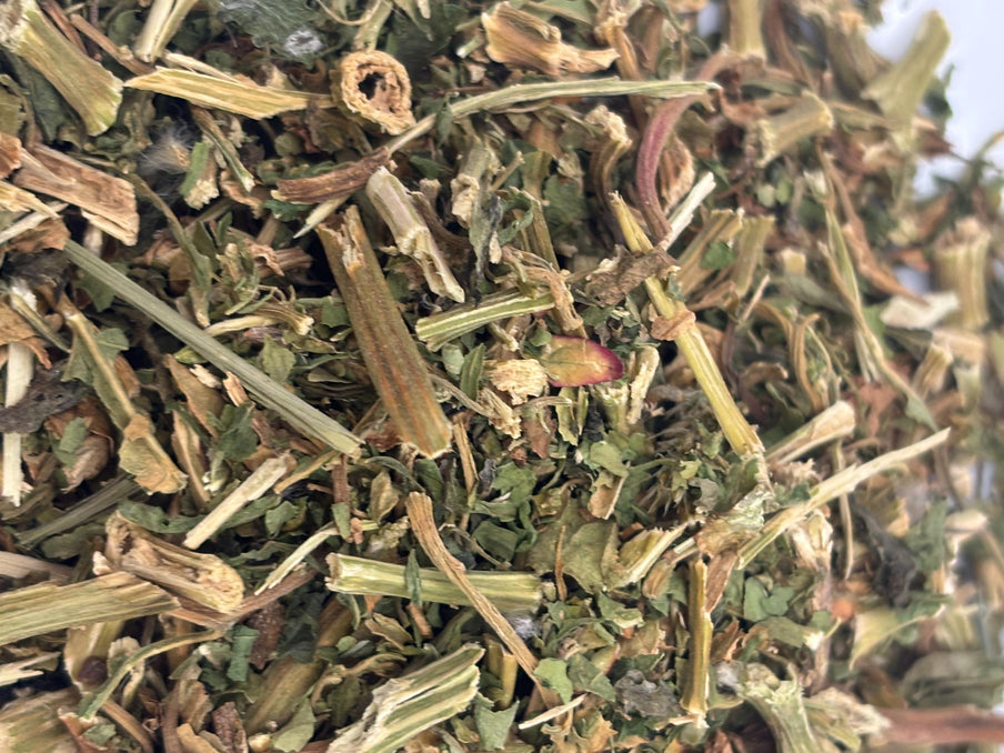 Dried Epazote Herb | Mexican Spice for Beans & Soups | Authentic Culinary Herb | Natural Seasoning | Mexican Tea | Dysphania ambrosioides